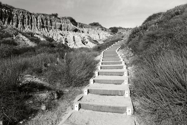Photo of Torrey Pines State Reserve Trails near Carmel Valley