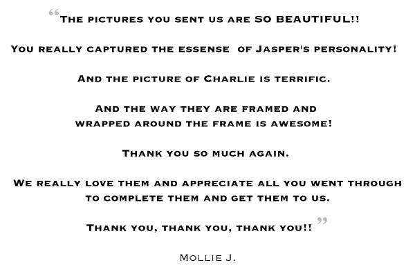 15th Street Photography: Testimonial by Mollie J